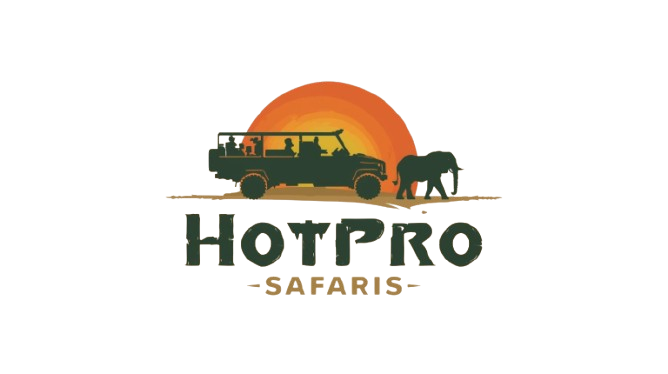 hotprosafaris.com